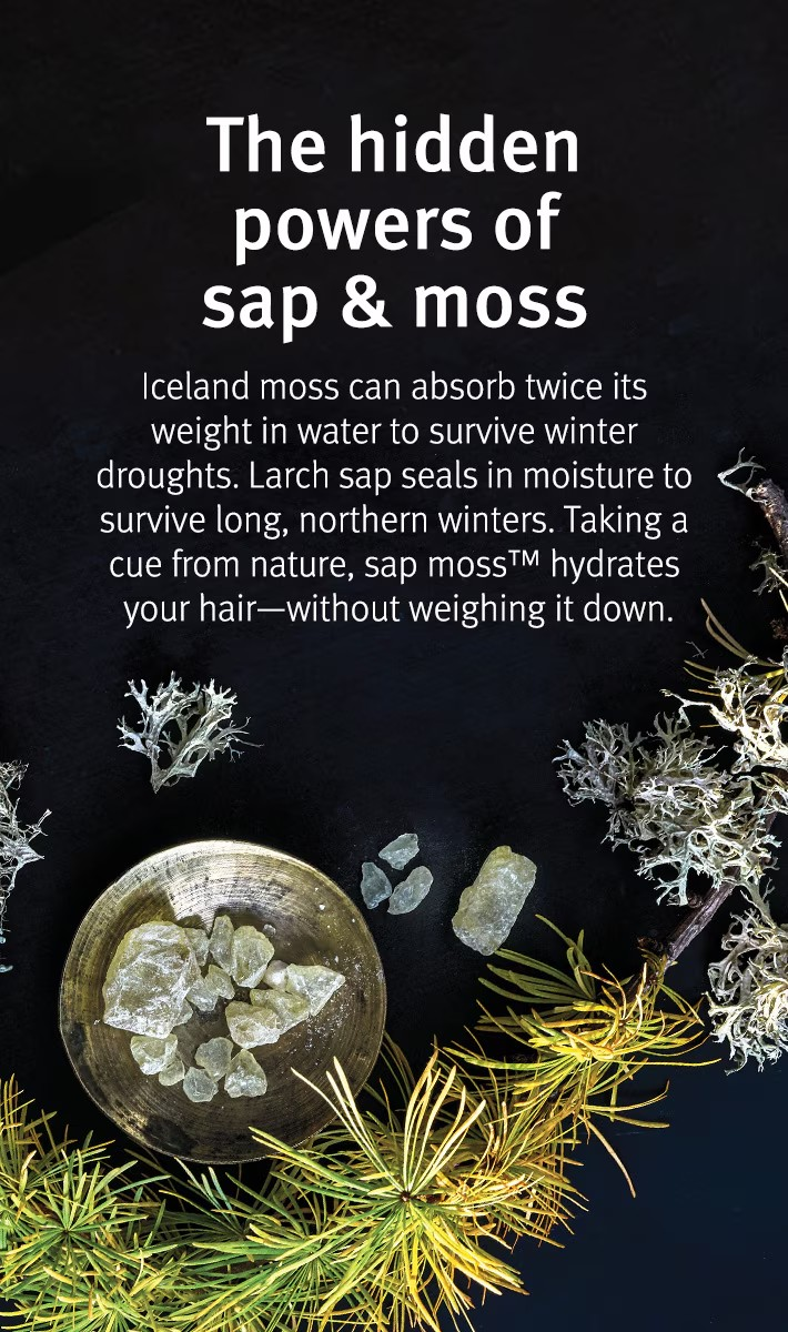 Aveda sap moss™ weightless hydration shampoo