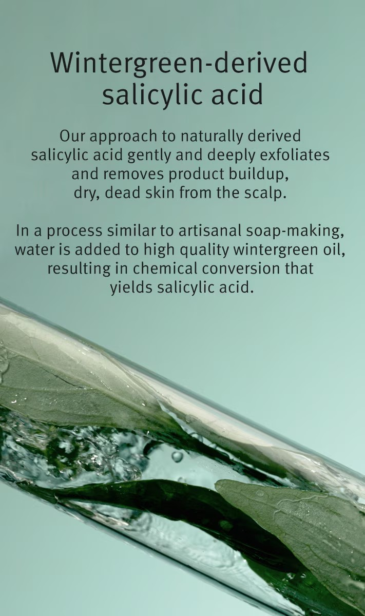 Aveda scalp solutions exfoliating scalp treatment
