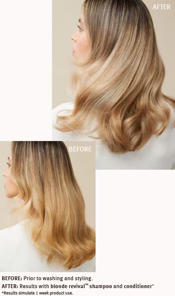 Aveda blonde revival purple toning conditioner
